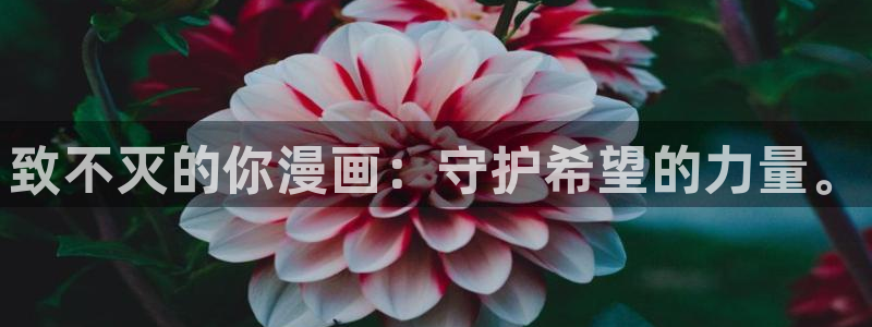51漫画怎么免费看漫画