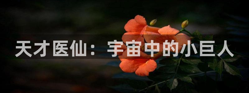 51漫画免费观看网页