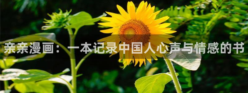 51漫画免费版怎样下载