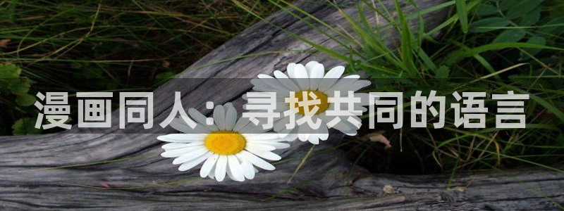 51漫画网在线